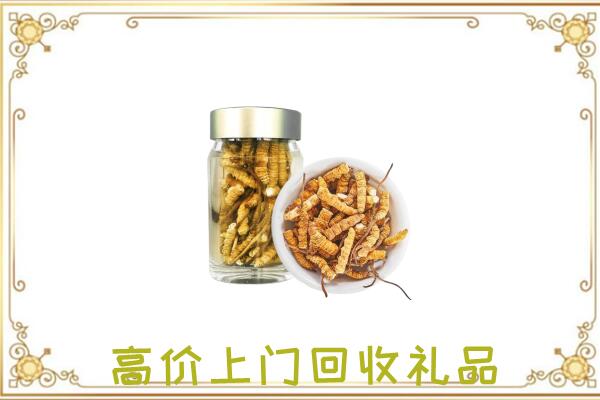 黔江周边回收虫草